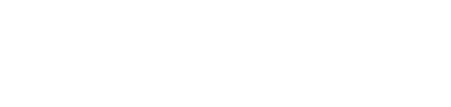 Bangalore-Section-Logo-white-1-01-1